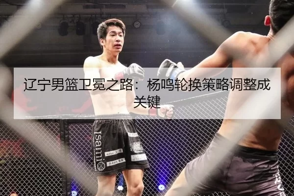 辽宁男篮卫冕之路：杨鸣轮换策略调整成关键