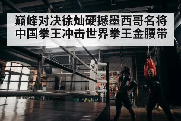 boxer training