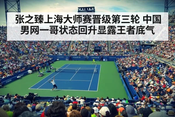 张之臻上海大师赛晋级第三轮 中国男网一哥状态回升显露王者底气